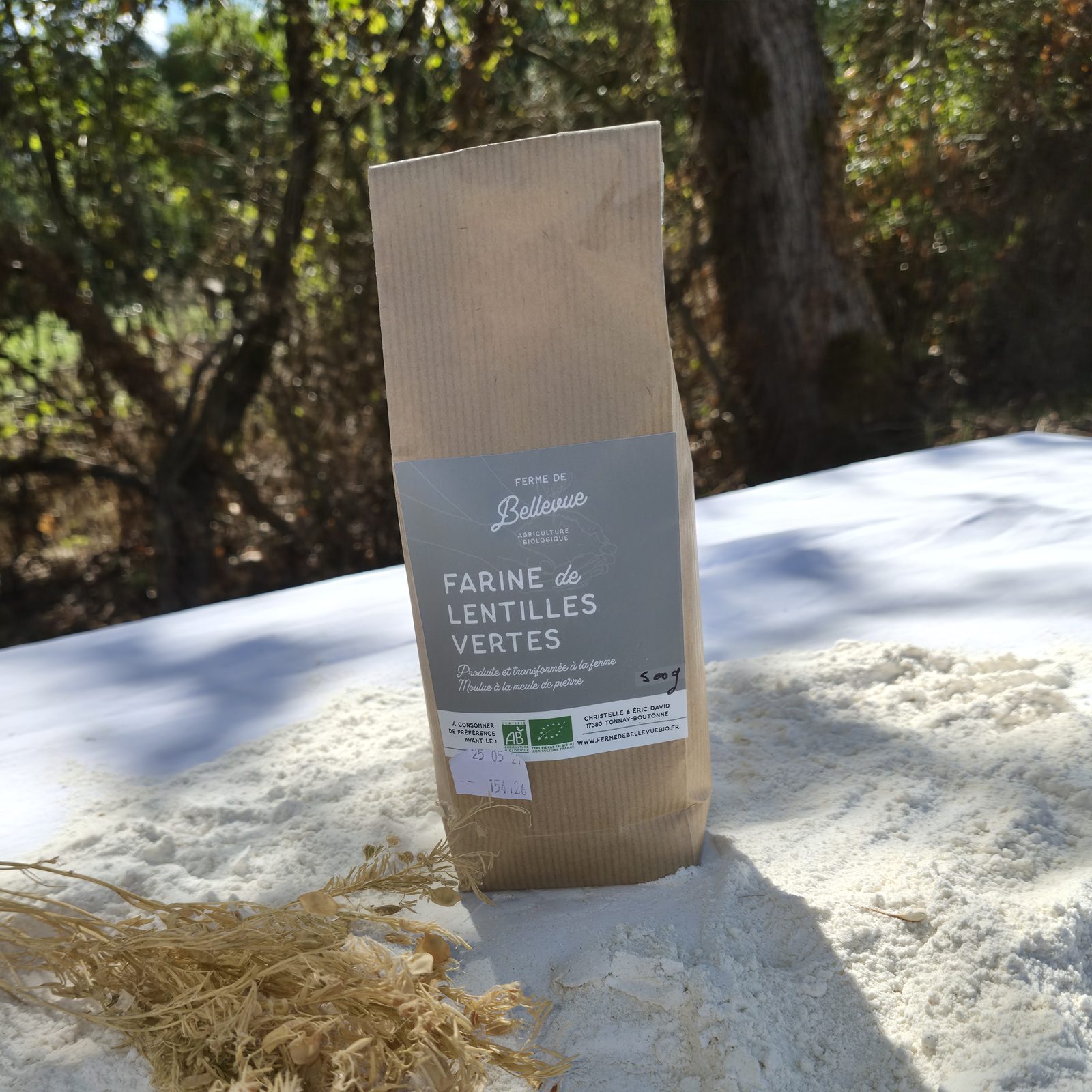 Farine de lentilles vertes